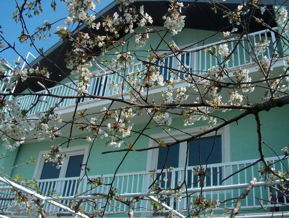 Pansion Devotions Otel Međugorje Dış mekan fotoğraf